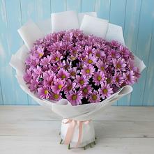 Букет цветов из:  Хризантемы #REPLACE_PRED# Очере