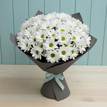 Букет цветов из:  Хризантемы в Очере